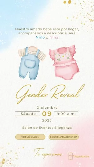 gender reveal, revelación de sexo, ropa, azul, rosa